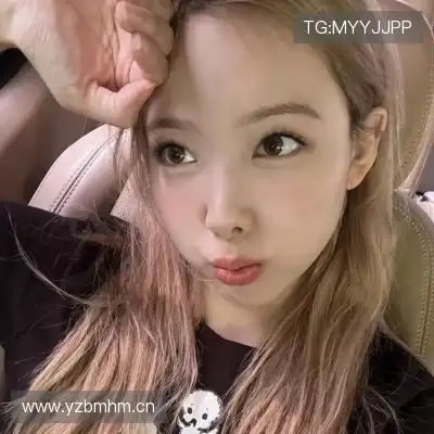 晏清飚